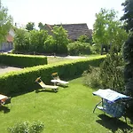 Stegner 3*